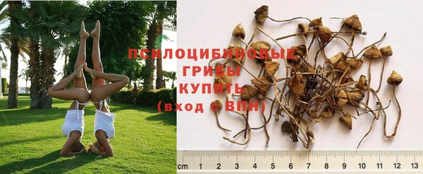 ешки Лихославль