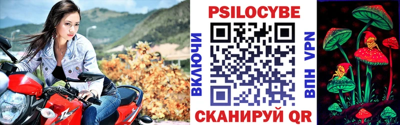 Псилоцибиновые грибы мицелий  Анива 